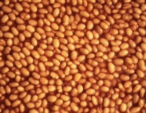 baked beans