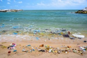 polluted beach