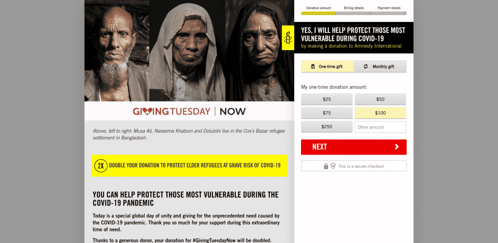 amnesty donation form example