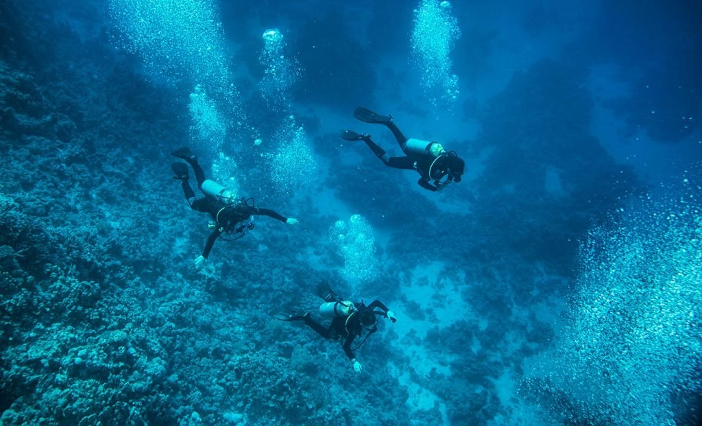 How Project Aware® Increased Unsolicited Donations by 80%