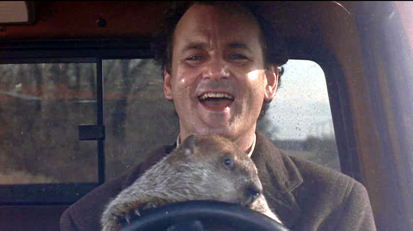 Groundhog Day Webinar