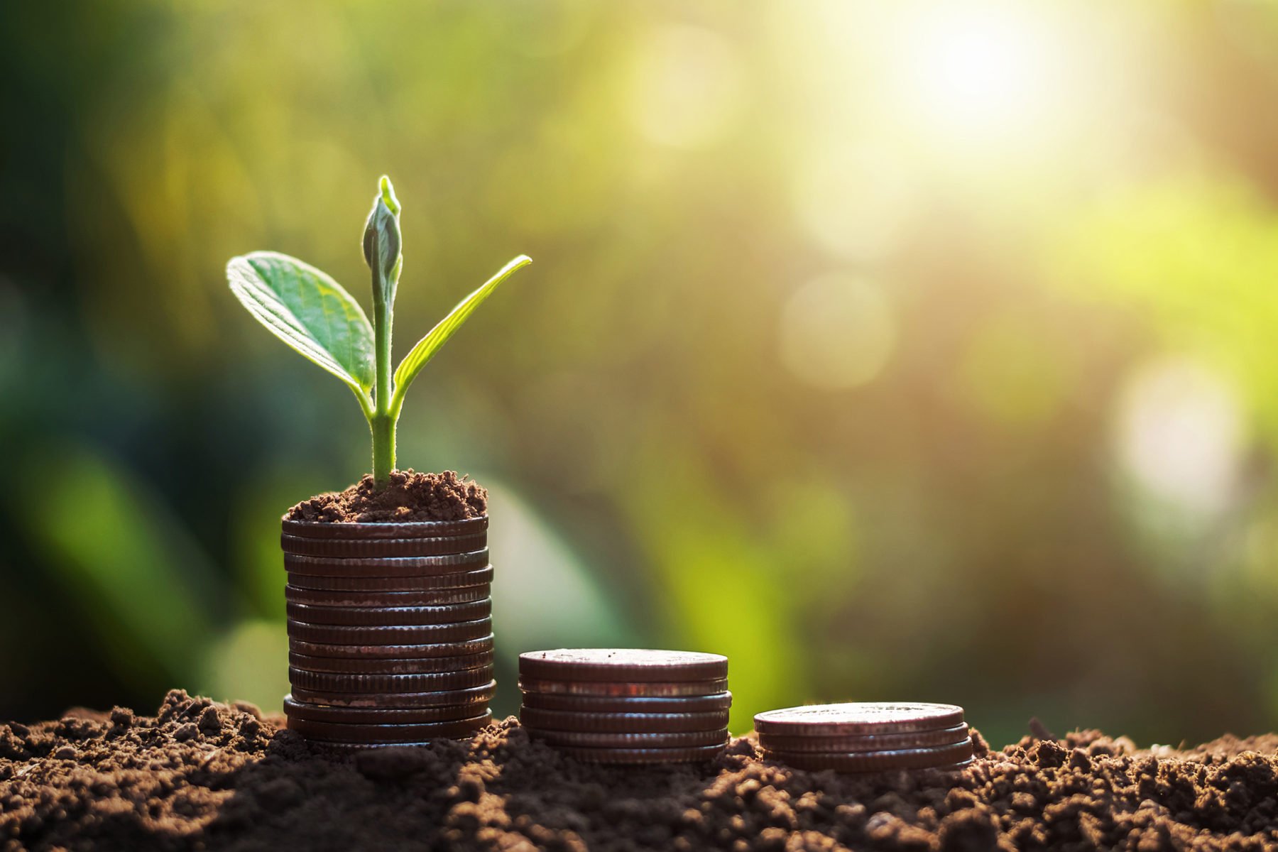 7 Ways to Cut Organizational Expenses in Changing Times