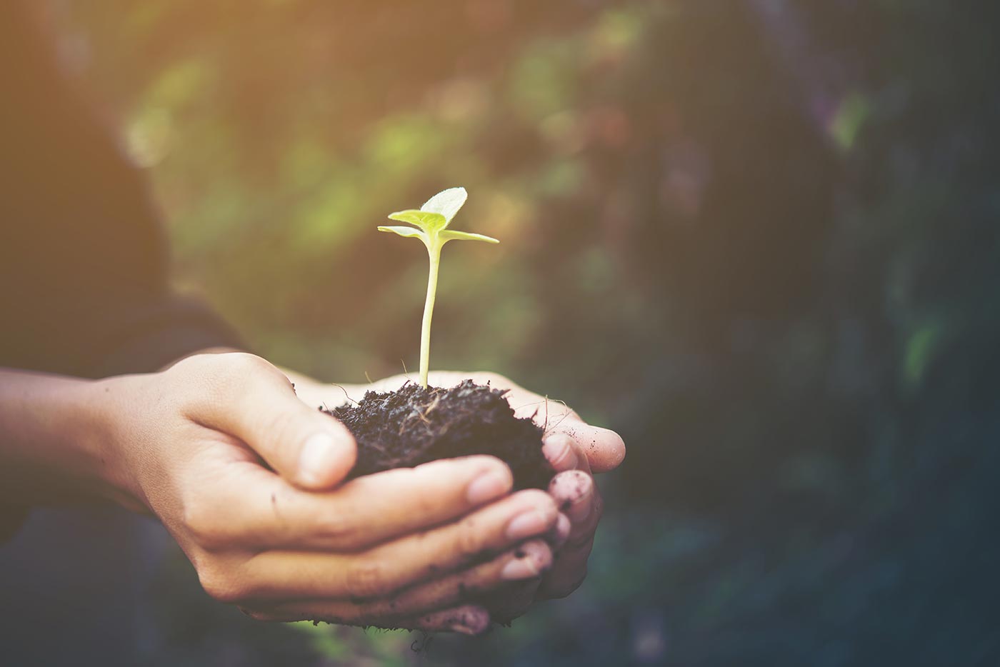 Compassion in World Farming’s Salesforce Integration