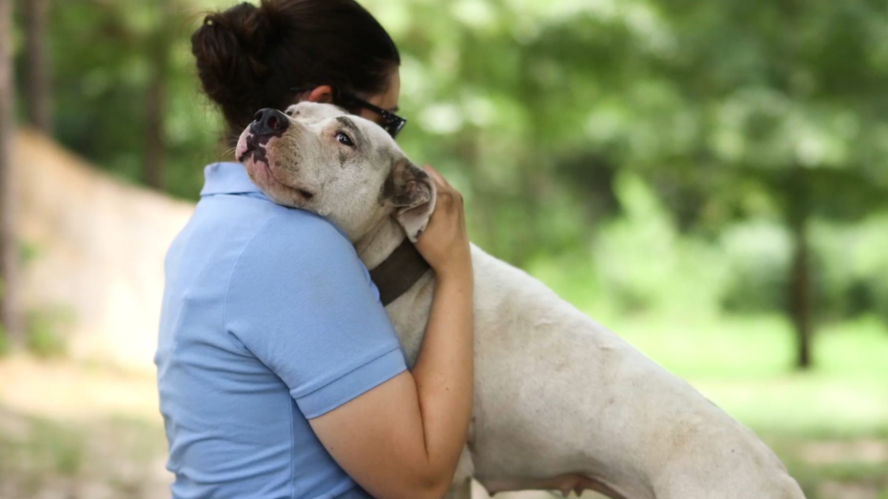 How PETA Raised $150,000 in Two Months
