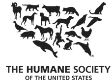 humain-society-uk