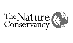 the-nature-conservancy