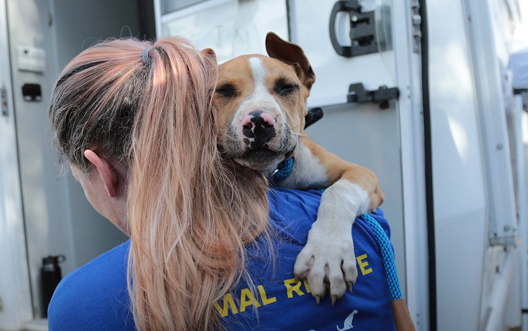 The Humane Society Of The United States Chooses Engaging Networks as Fundraising and Advocacy Partner