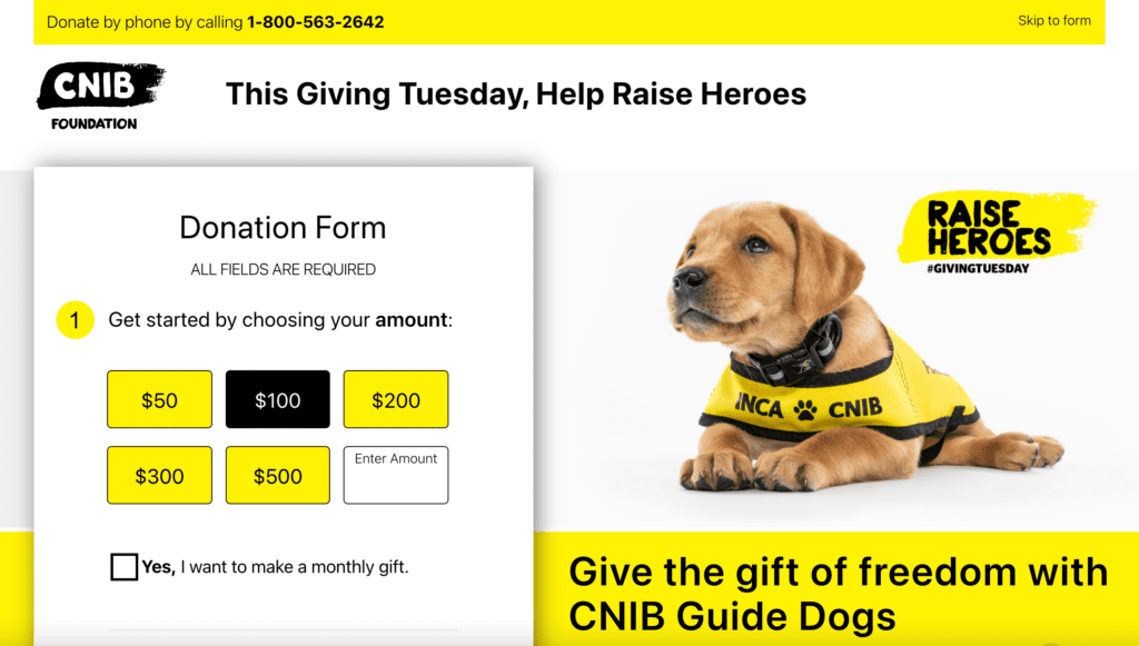 cnib giving tuesday