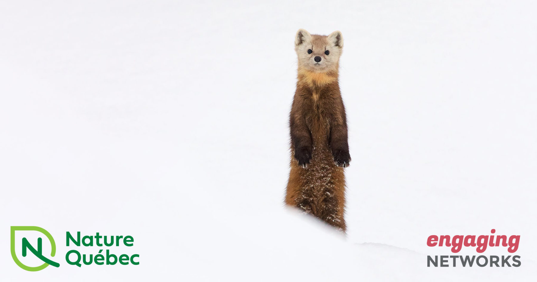 How Nature Québec integrates Engaging Networks with Salesforce