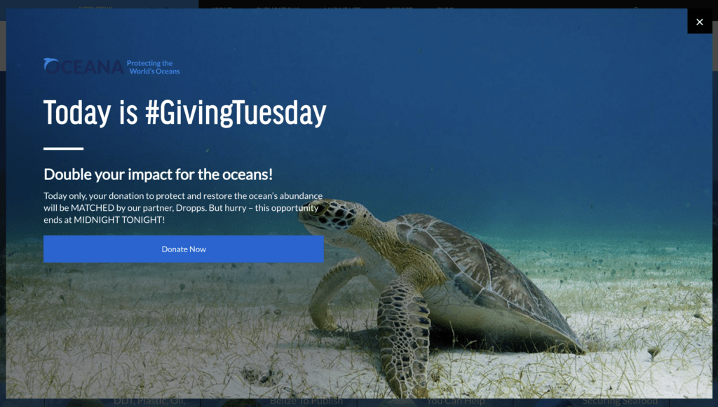 oceana givingtuesday