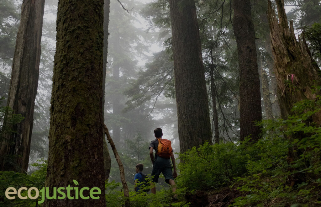 earth day ecojustice