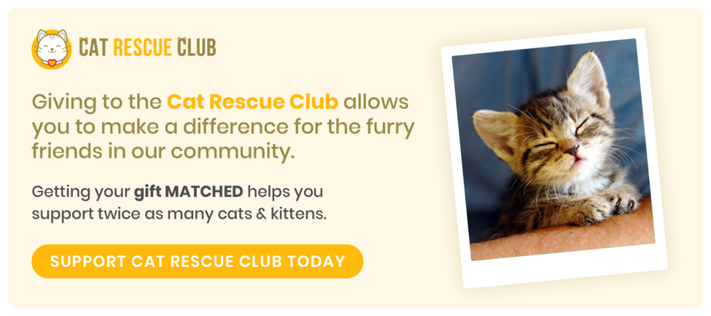 Example of a corporate gift matching fundraising message from the Cat Rescue Club