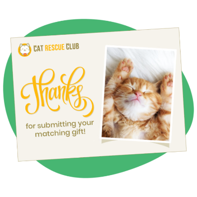 Example thank-you message from the Cat Rescue Club for submitting a corporate matching gift 