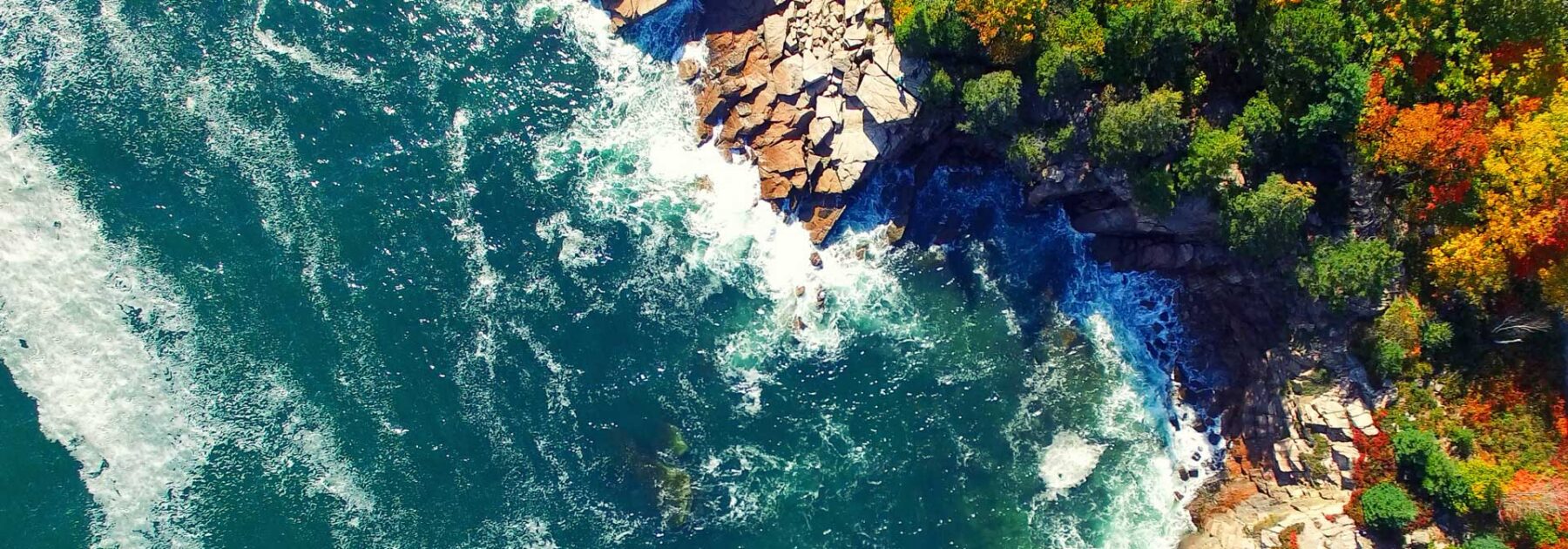 Illustrative photo of a tree-studded coastline in New England