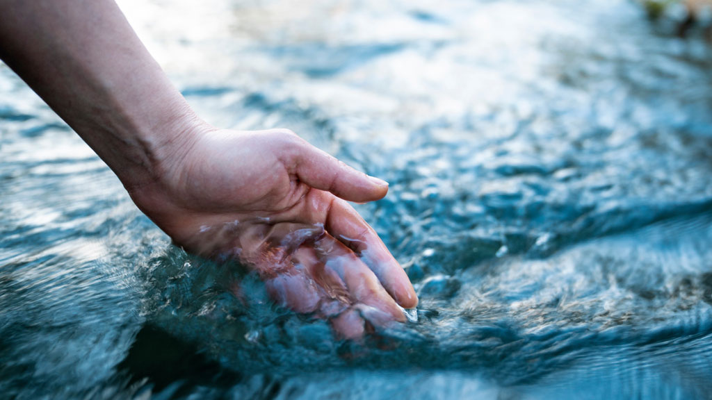 Food & Water Watch: Powering High-Stakes Advocacy at Scale