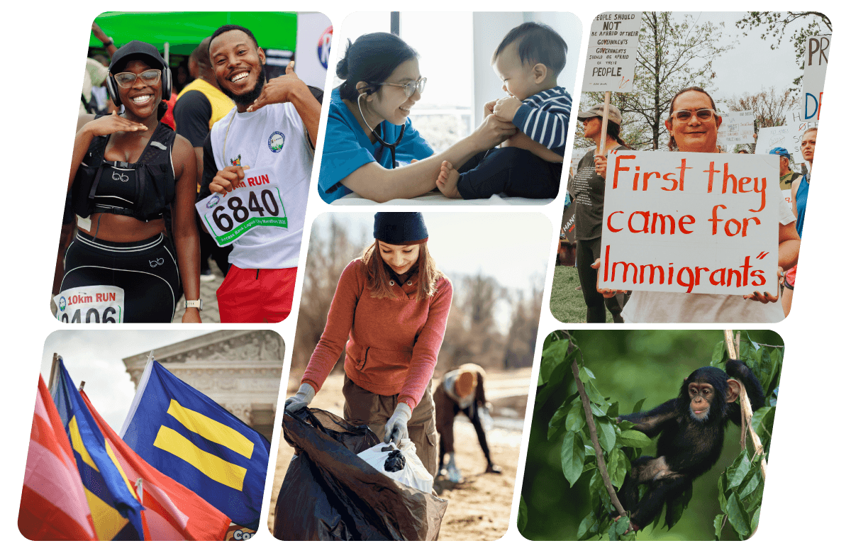 A grid of six photos representing the type of work and organizing done by our clients