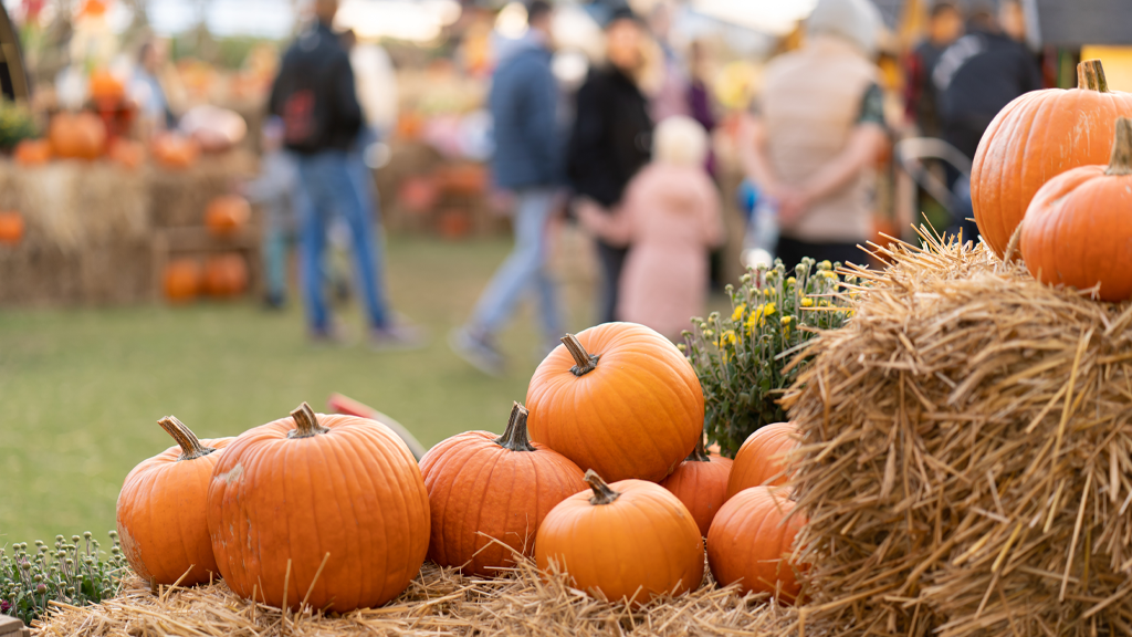 Illustrative photo of pumpkins on hay bales at a fall fundraising festival