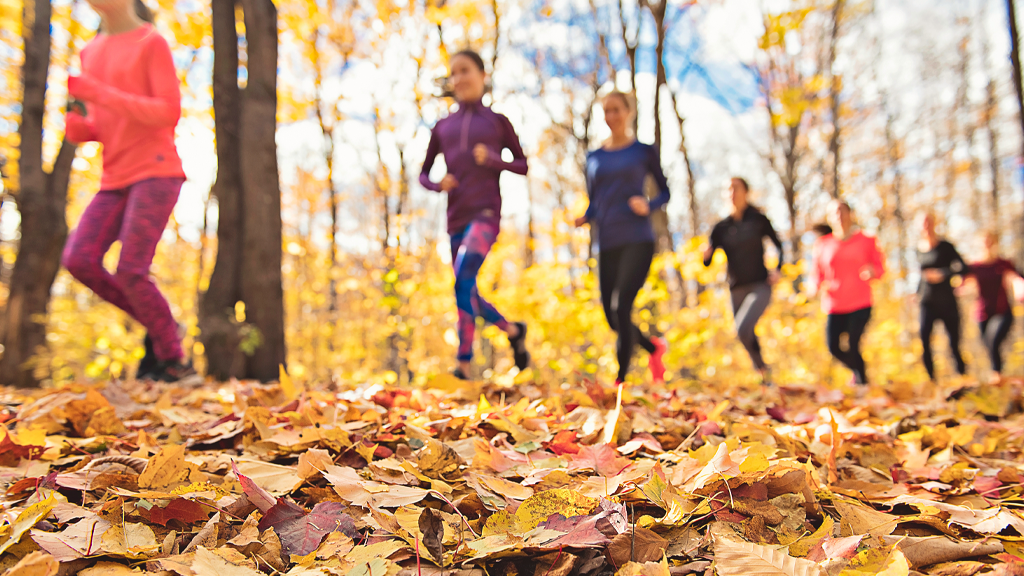 Photo of a group of runners on an autumn, tree-lined path during a fall fun run fundraiser