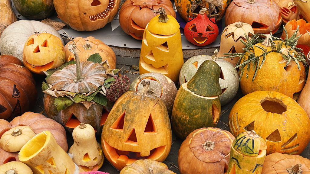 A photo of a group of carved pumpkins and gourds for a fall pumpkin carving fundraising event